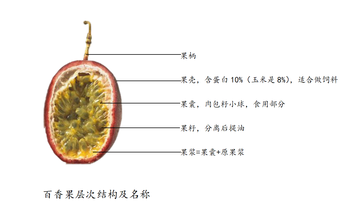 百香果结构.png