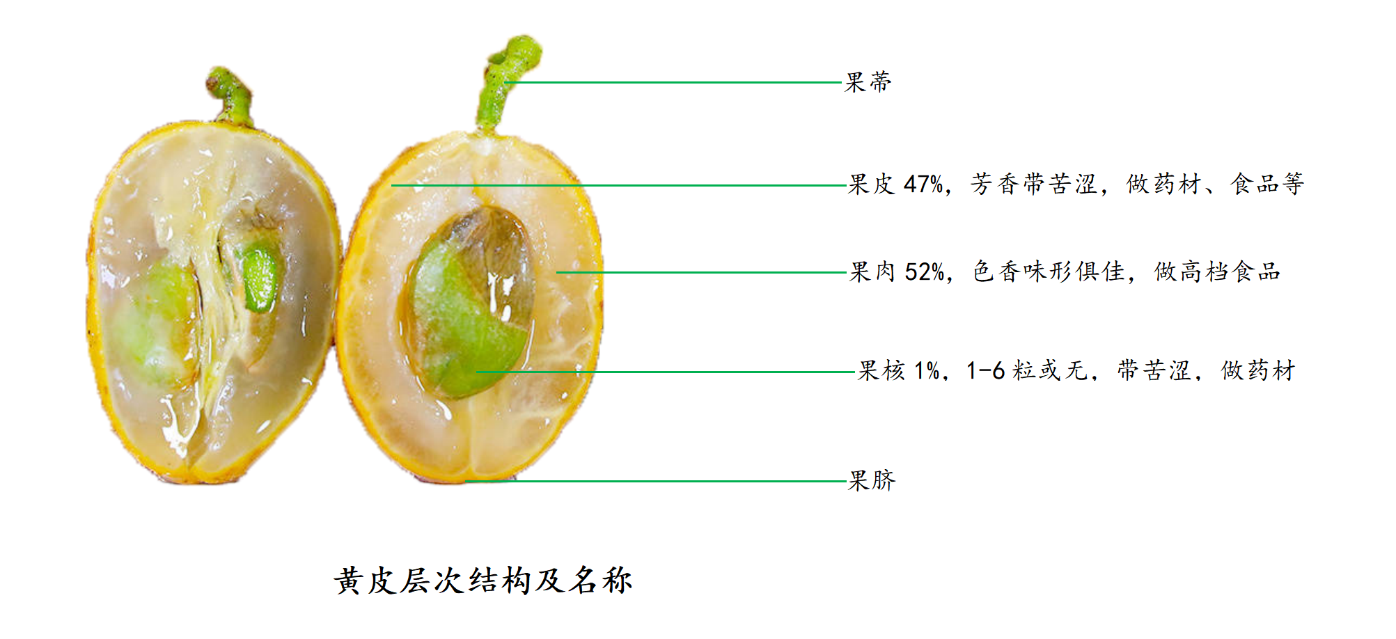 黄皮术语含义_01(1).png